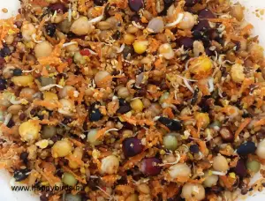 Homemade Soft Food for Parrots