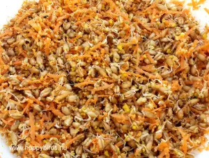 Sprouted Seed Soft Food for Parrots